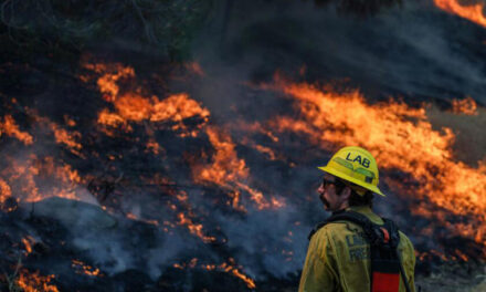 Los incendios forestales en California ya han quemado 30 veces más acres que en todo el año pasado, y todavía es verano