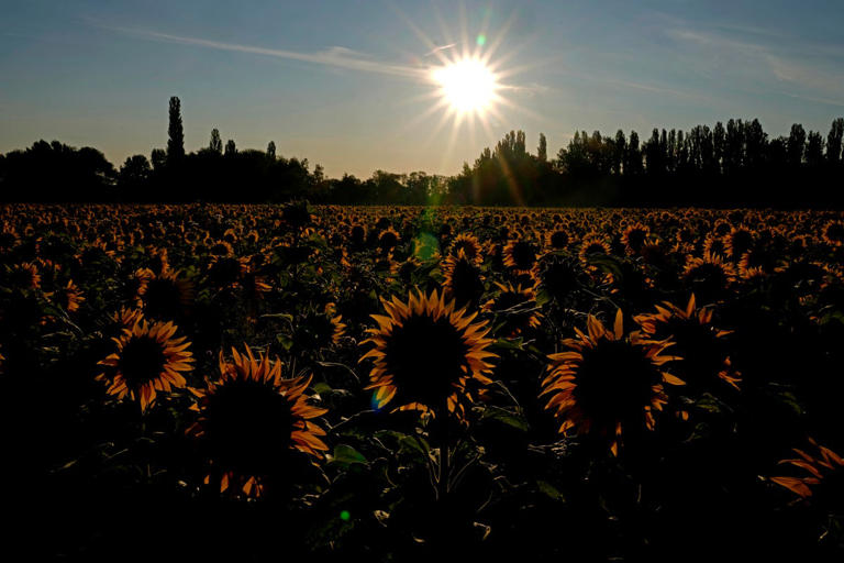 España enfrenta la primera ola de calor del año mientras el sur de Europa se asa