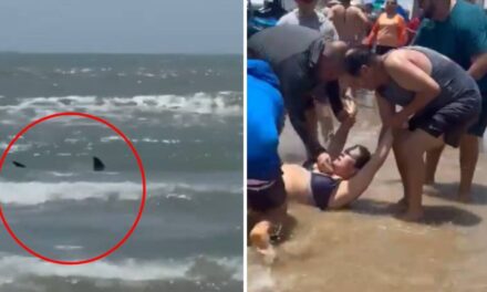 Tiburón muerde a dos personas en la Isla del Padre, Texas, mientras los bañistas celebraban el 4 de julio. Se reportan también cocodrilos en la zona