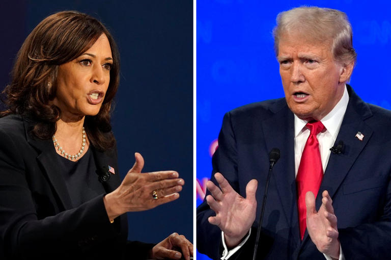 Harris vs. Trump: la vicepresidenta se posiciona como favorita en las últimas encuestas