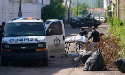 Guerra entre Los Chapitos y La Mayiza ha saturado el servicio forense de Culiacán, Sinaloa